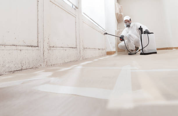 24/7 Emergency Crawl Space Mold Remediation experts in Malvern, PA