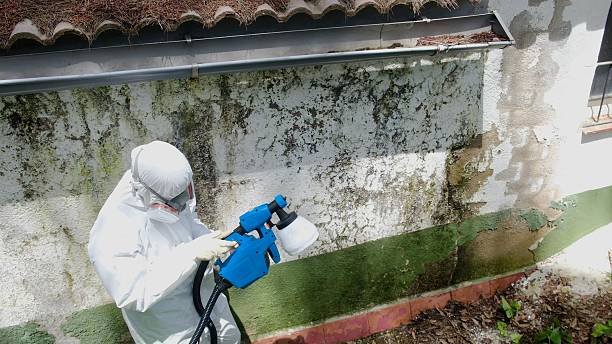 Top rated local Crawl Space Mold Remediation specialists in Malvern, PA